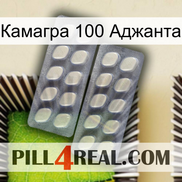 Камагра 100 Аджанта 07.jpg